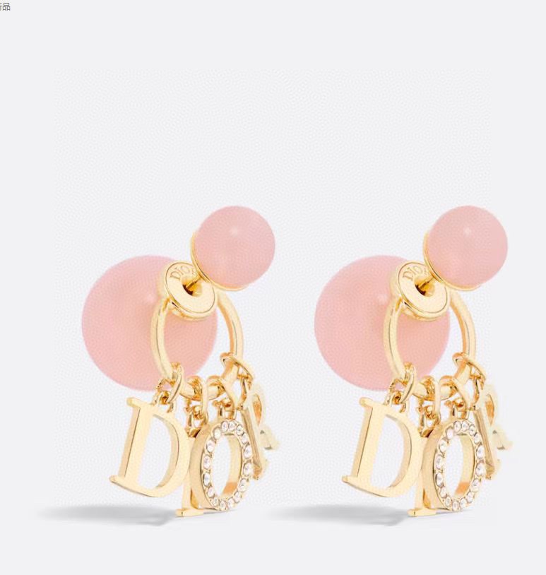 Christian Dior Earrings